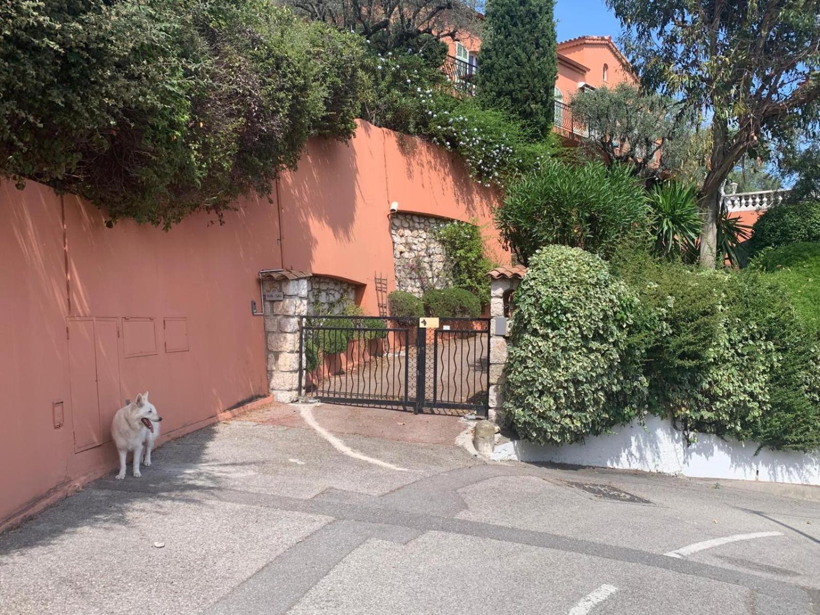Villa Orfee Elegance Et Tranquillite Sur Les Hauteurs De Nice