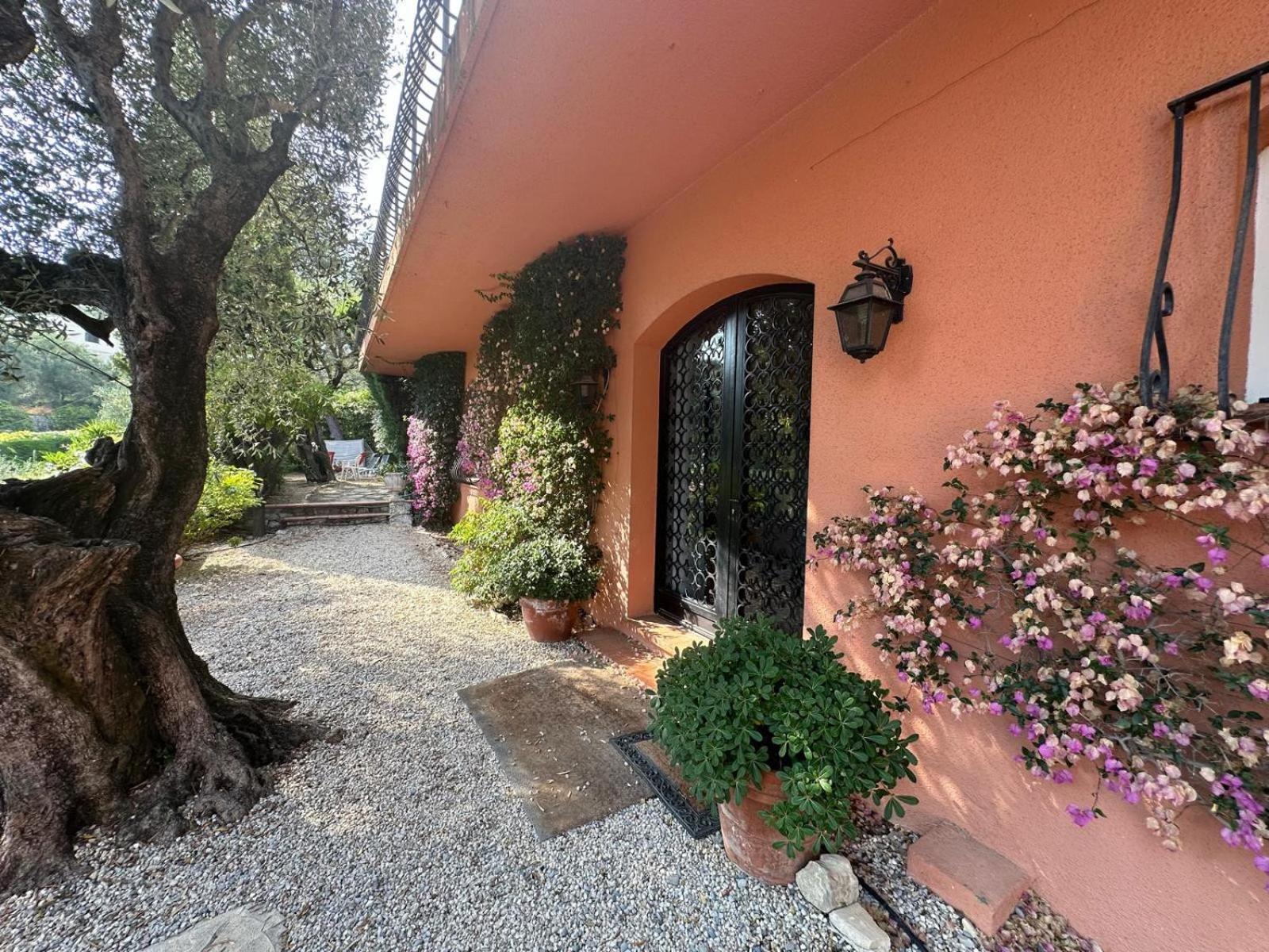 Orfee Elegance Et Tranquillite Sur Les Hauteurs De Villa Nice
